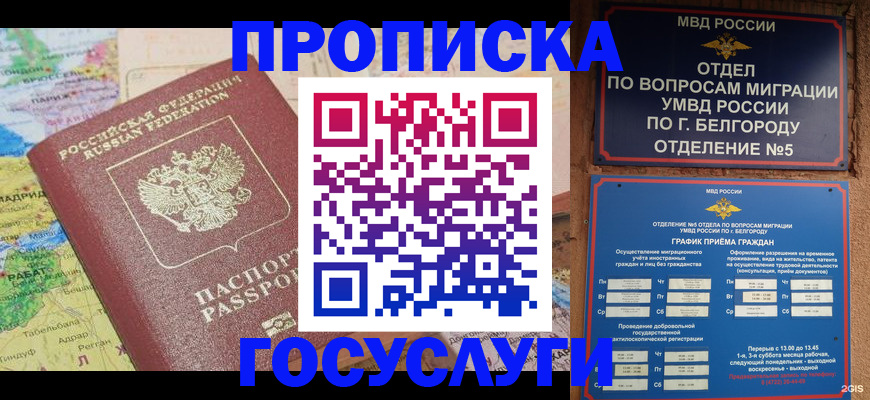 прописка регистрация в Ивантеевке